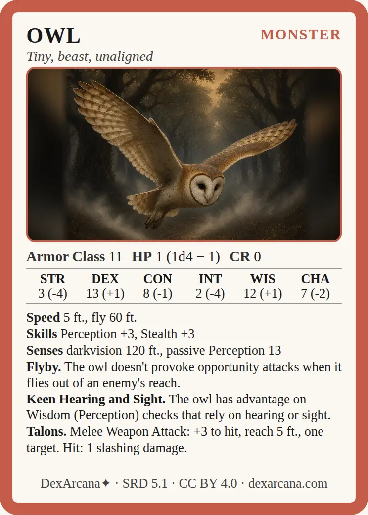 Owl front