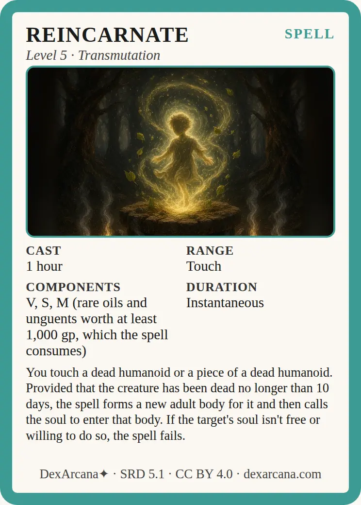 Reincarnate front